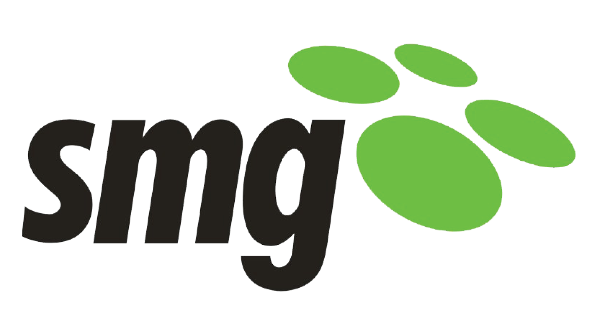 SMG Infosolutions Pvt Ltd
