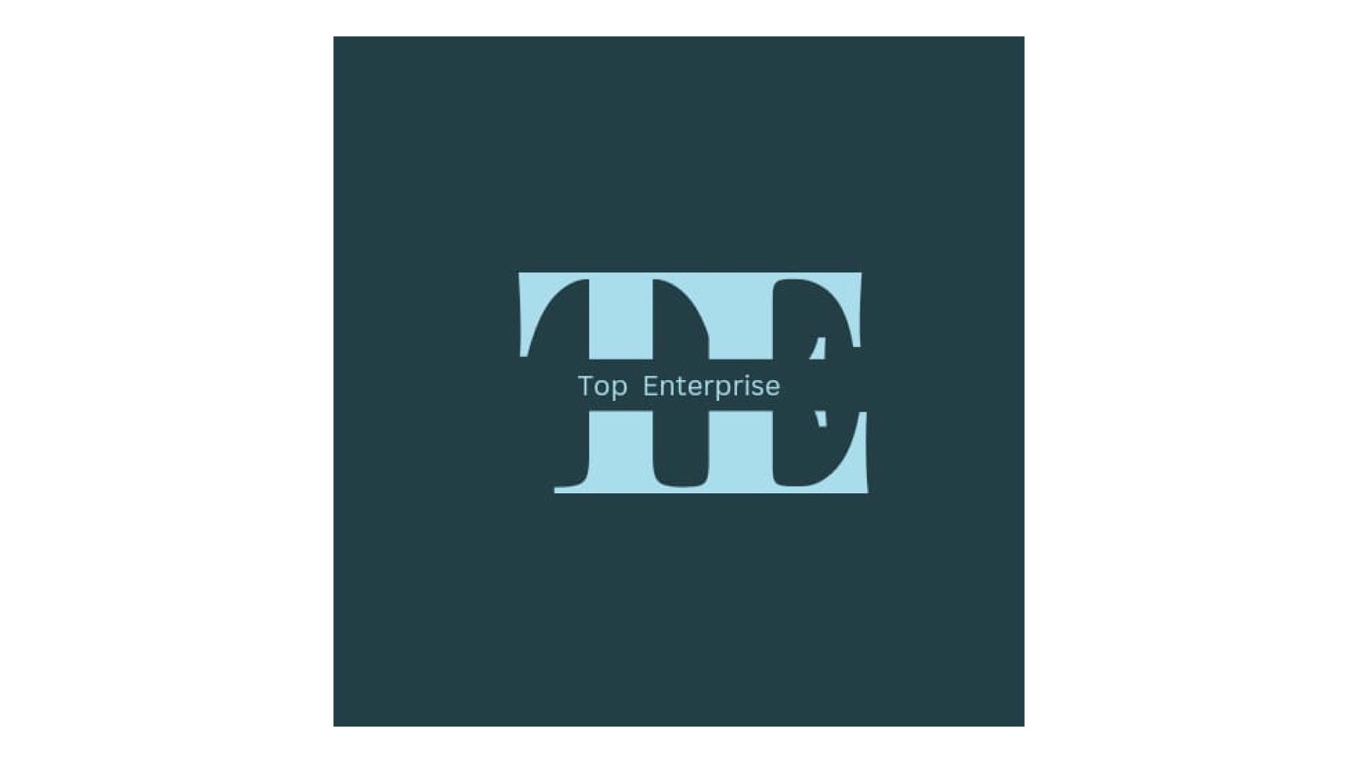 TOP ENTERPRISE