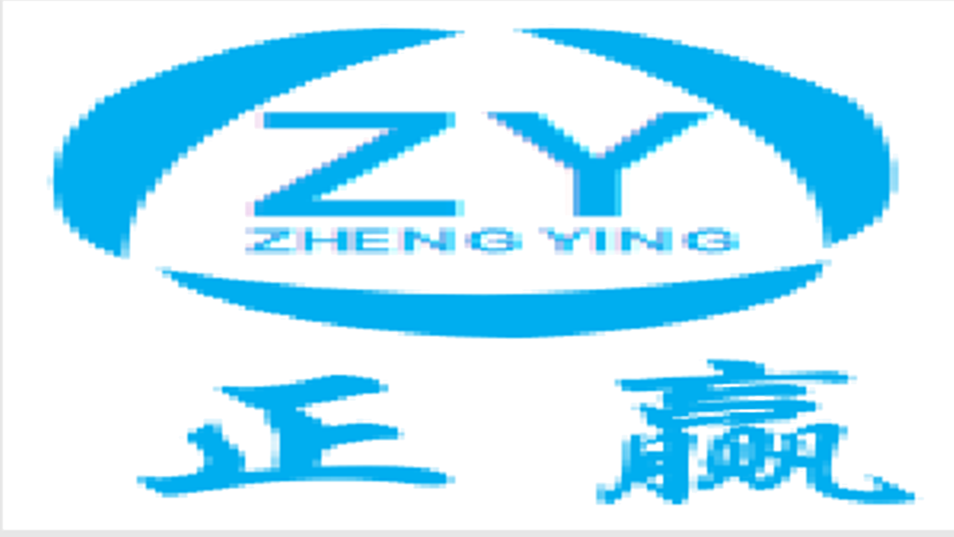 Hengshui Zhengying Wire Mesh Products Co., LTD.